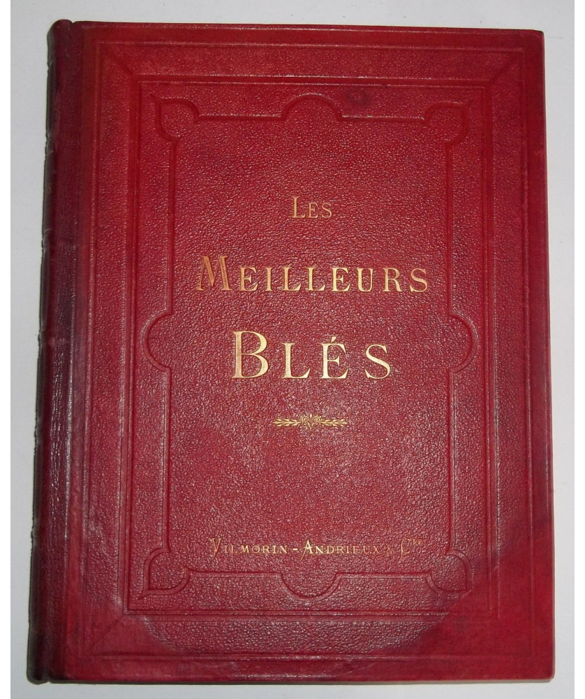 Univers de la Bibliophilie