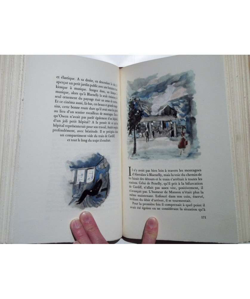 Albert Dandoy, le livre du peintre Albert Dandoy, le livre du peintre