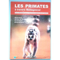 Les Primates à travers Madagascar