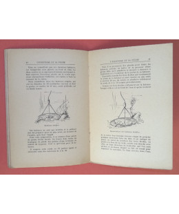 L'écrevisse et sa Pêche