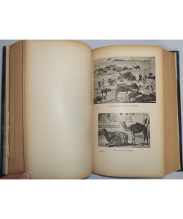 Souvenirs Maritimes 1881-1883
