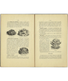 Le Ravitaillement en Légumes