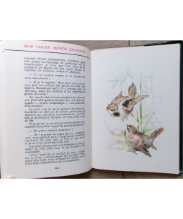 Mon Jardin Monde Enchanté - 6 volumes