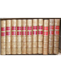 Souvenirs Entomologiques