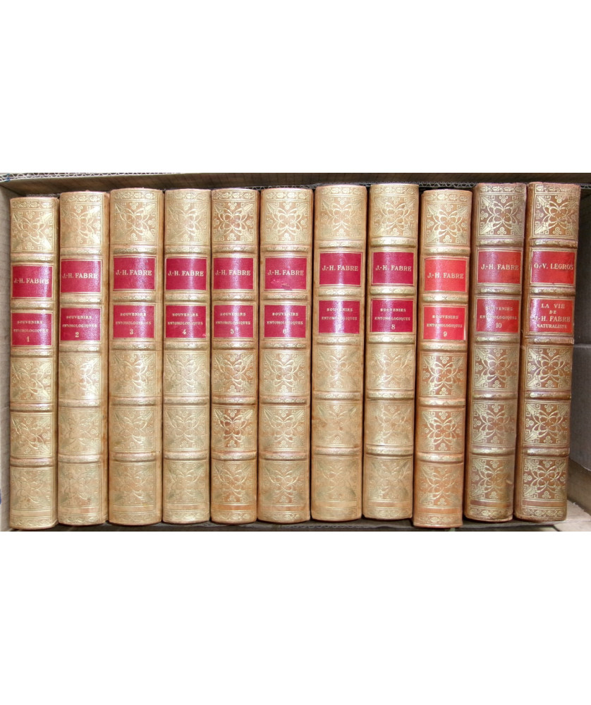 Souvenirs Entomologiques