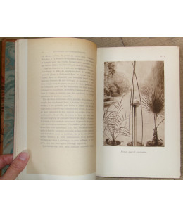 Souvenirs Entomologiques