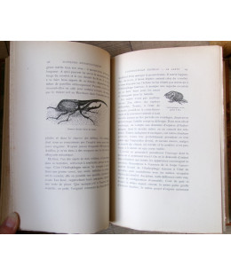 Souvenirs Entomologiques