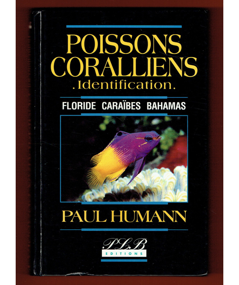Poissons Coralliens - Identification