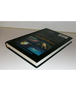 Poissons Coralliens - Identification