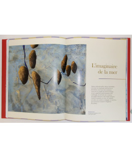 Les Peintres Officiels de la Marine (POM)