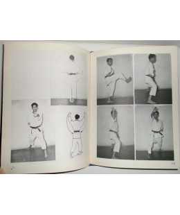 Karaté - Maître Mochizuki