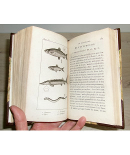 Le Pêcheur Français