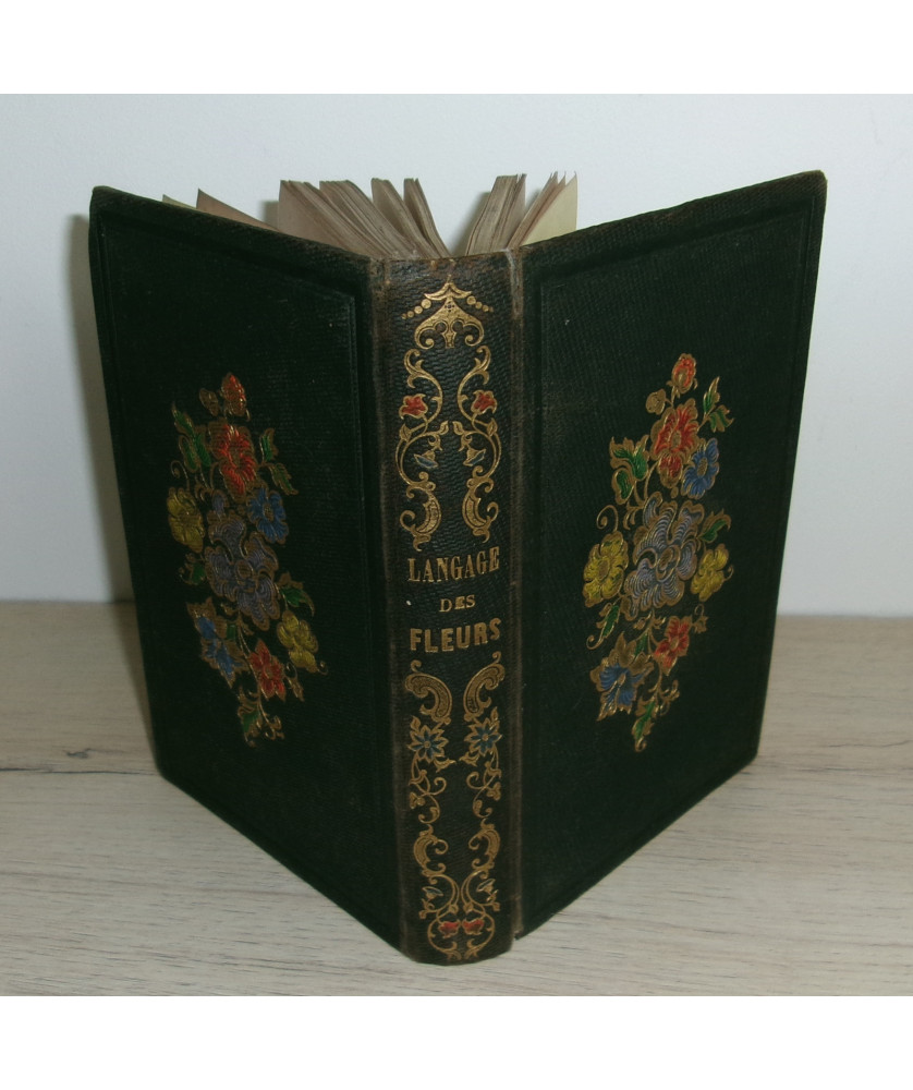 Flore des Dames - Nouveau Langage des Fleurs