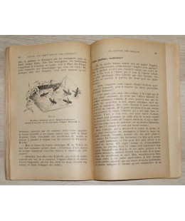 petite botanique apicole, collection le retour à la terre