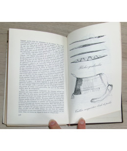 L’Expédition Orénoque Amazone 1948-1950