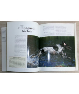 Les Chiens d’arrêt