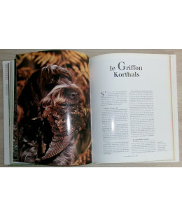 Les Chiens d’arrêt