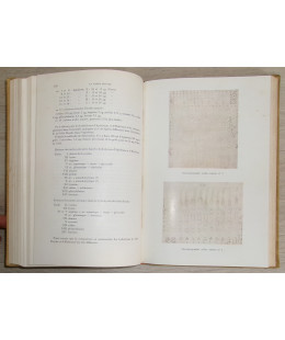 La Gelée Royale des Abeilles