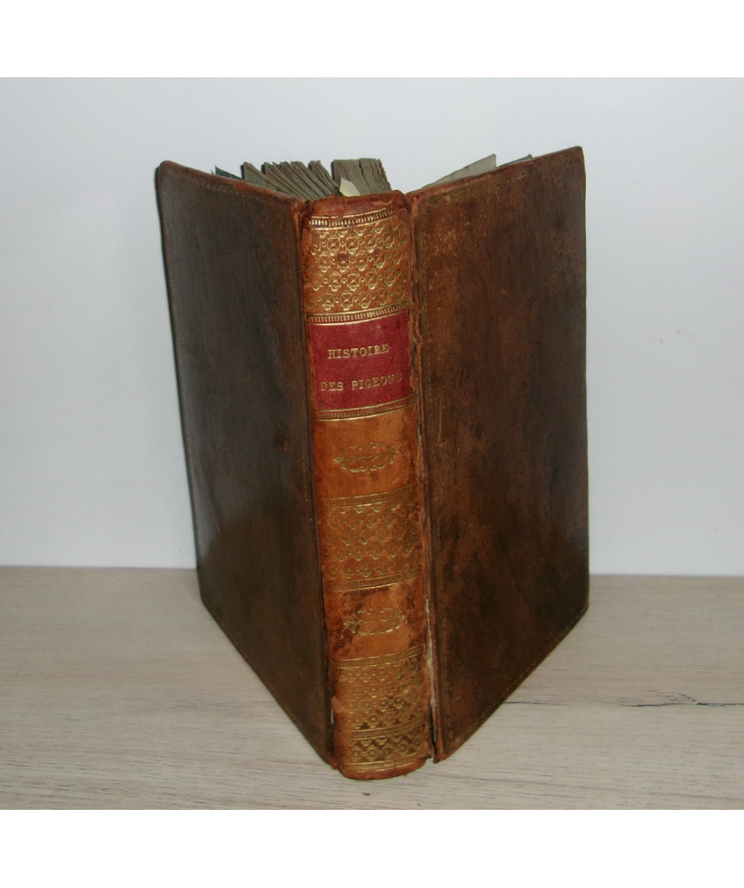Histoire Naturelle et Monographie des Pigeons Domestiques