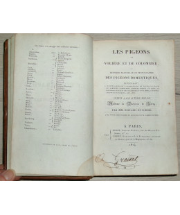 Histoire Naturelle et Monographie des Pigeons Domestiques