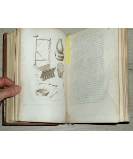 Histoire Naturelle et Monographie des Pigeons Domestiques