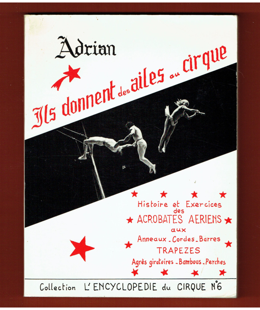 Ils donnent des ailes au Cirque