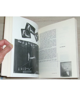 Ils donnent des ailes au Cirque