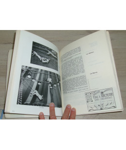 Ils donnent des ailes au Cirque