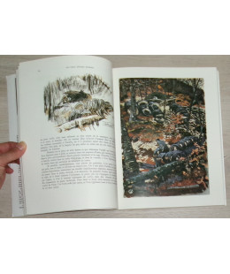 Vieux Métiers Bretons