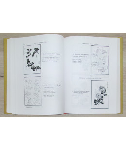 Encyclopédie de la Peinture Chinoise